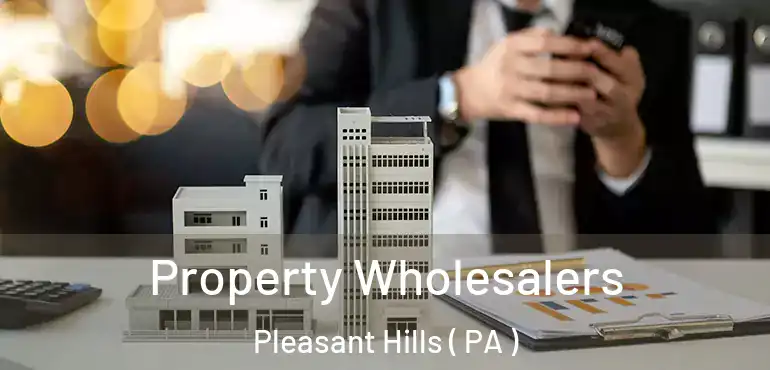 Property Wholesalers Pleasant Hills ( PA )