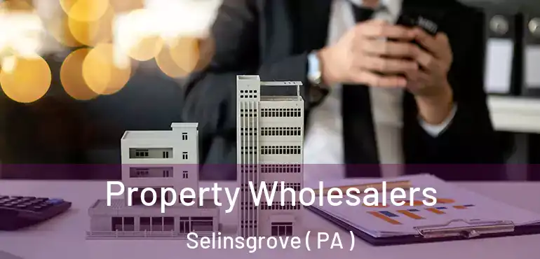  Property Wholesalers Selinsgrove ( PA )