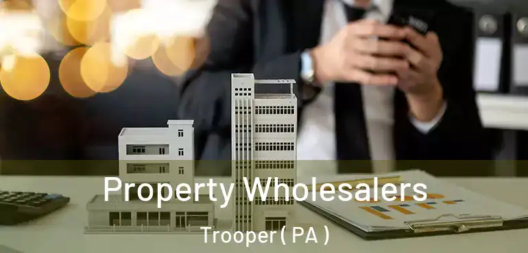  Property Wholesalers Trooper ( PA )