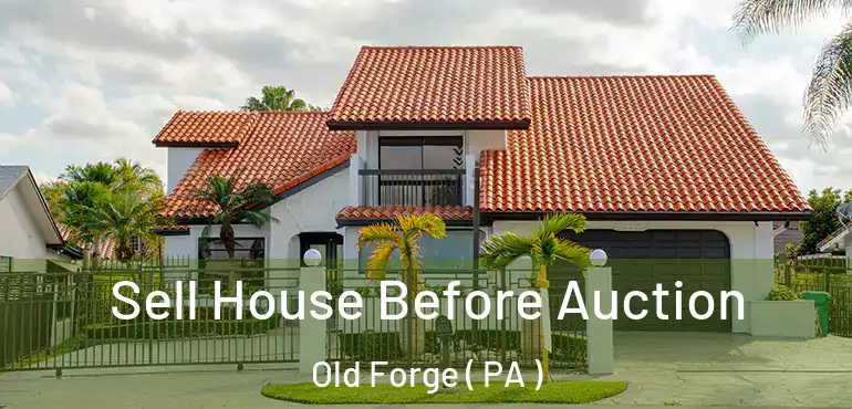  Sell House Before Auction Old Forge ( PA )