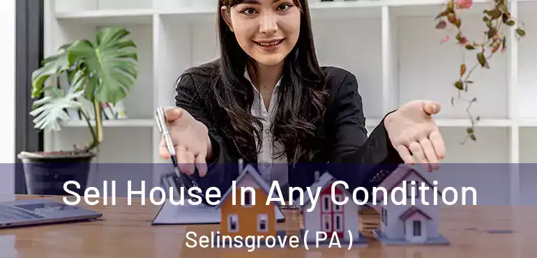  Sell House In Any Condition Selinsgrove ( PA )