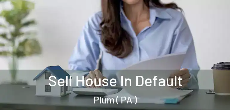  Sell House In Default Plum ( PA )