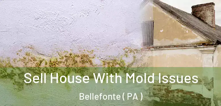  Sell House With Mold Issues Bellefonte ( PA )