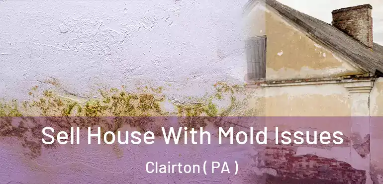  Sell House With Mold Issues Clairton ( PA )