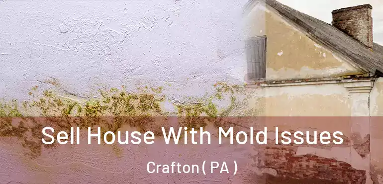  Sell House With Mold Issues Crafton ( PA )