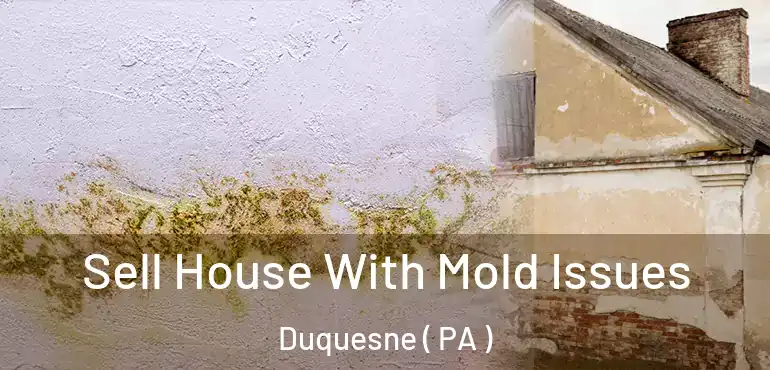  Sell House With Mold Issues Duquesne ( PA )