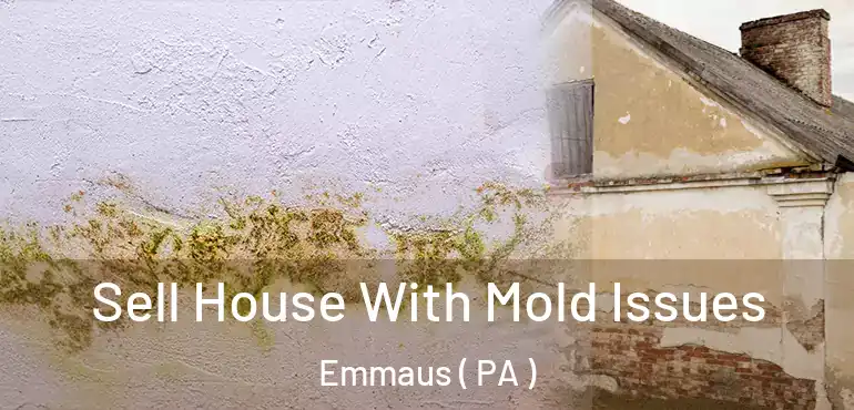  Sell House With Mold Issues Emmaus ( PA )