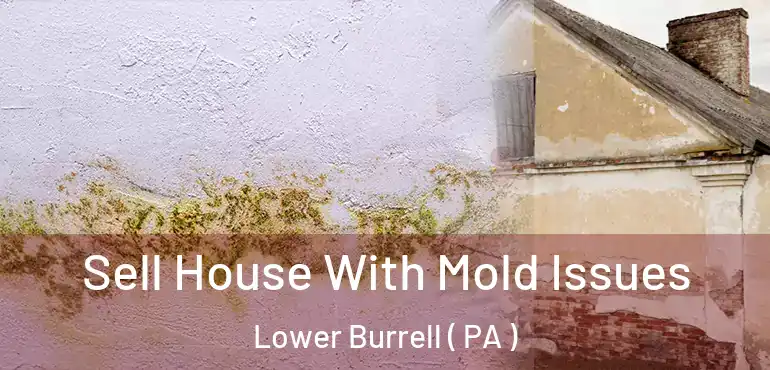  Sell House With Mold Issues Lower Burrell ( PA )