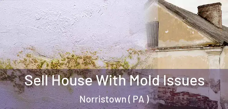  Sell House With Mold Issues Norristown ( PA )