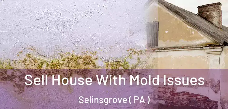  Sell House With Mold Issues Selinsgrove ( PA )