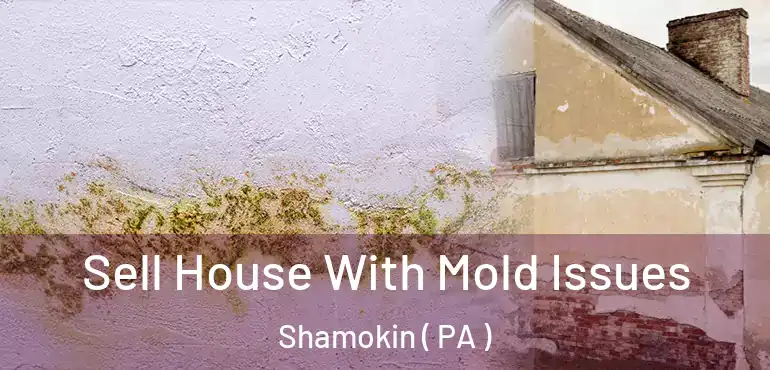  Sell House With Mold Issues Shamokin ( PA )