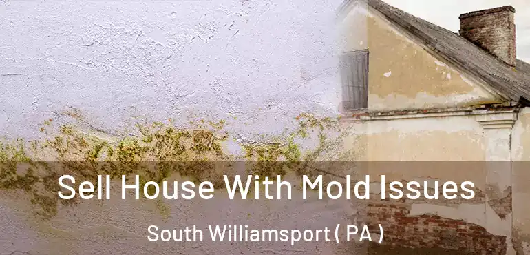  Sell House With Mold Issues South Williamsport ( PA )