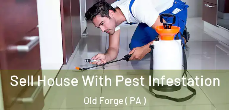  Sell House With Pest Infestation Old Forge ( PA )