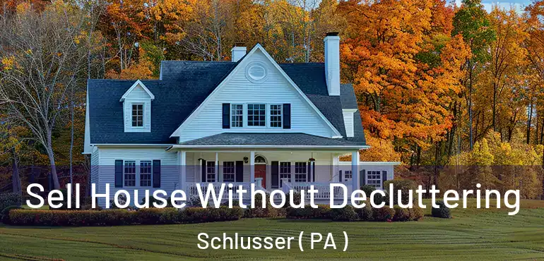  Sell House Without Decluttering Schlusser ( PA )