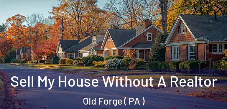  Sell My House Without A Realtor Old Forge ( PA )