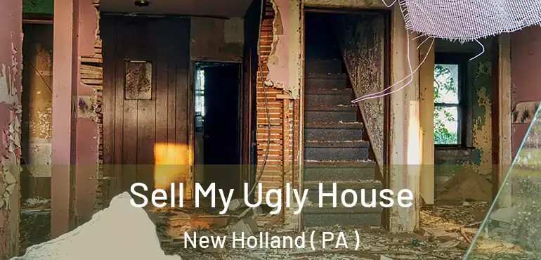  Sell My Ugly House New Holland ( PA )