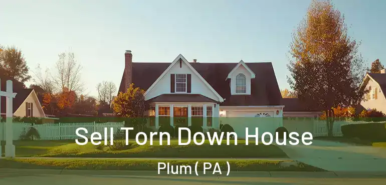  Sell Torn Down House Plum ( PA )
